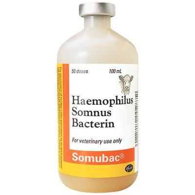 Somubac Cattle Vaccine , 50 Doses, ZOETIS 10000365