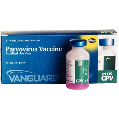 Vanguard Plus CPV 5 X 10 Dose , ZOETIS 10000440