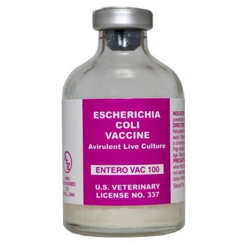 Entero Vac 100 Escherichia Coli Swine Vaccine, Avirulent Live Culture, 20mL , Arc Lab Entero Vac