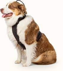 Calmer Canine Bundle, 5in Device with Medium Vest , Assisi CC-BNDL-S-M