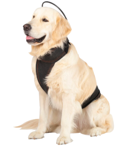 Calmer Canine Bundle, 7in Device with Large Vest , Assisi CC-BNDL-L-L