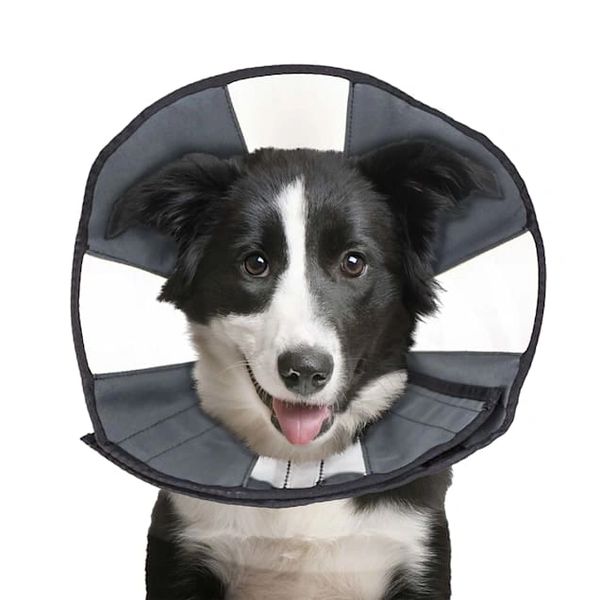 ZenCone Soft Recovery Collar Large (15-18") , Each , CS Tech 5922