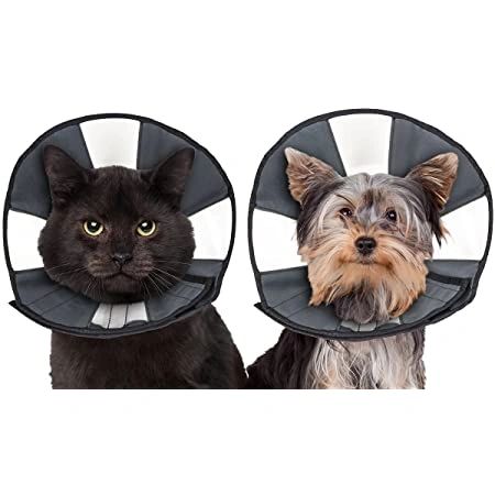 ZenCone Soft Recovery Collar Small (8-12") , Each , CS Tech 5916