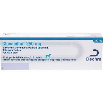 Clavacillin Veterinary Tablets 250 mg, 210/Box (15 Foil Strips of 14 Tablets/Strip) , DECHRA 17033-442-21