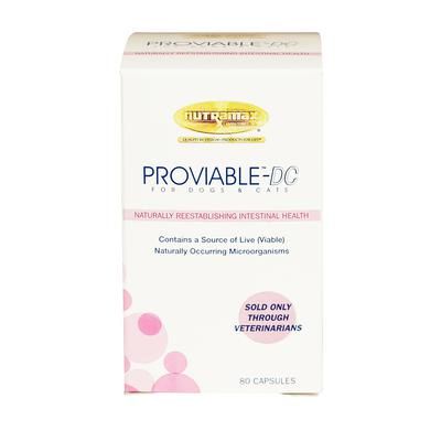 Proviable for Dogs and Cats DC Capsules 80/Bottle , NUTRAMA PROVDC80