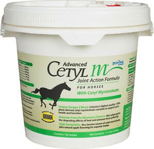 Advanced Cetyl M Joint Action Formula Granules for Horses, 22.4lb , Each , Durvet CETYL M HORSE 22LB