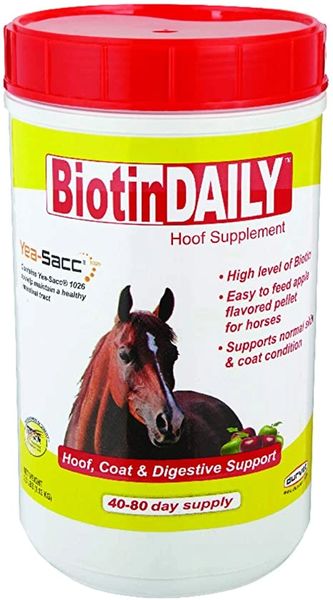 BiotinDaily Hoof / Coat / Digestive Supplement, 2.5lb , Durvet 001-0027