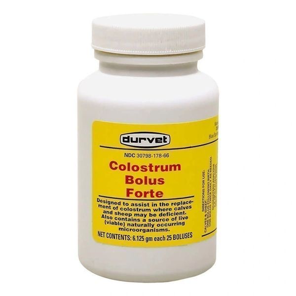 Colostrum Bolus Forte, 6.125gm , Each , Durvet 001-0320