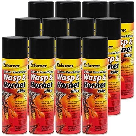 Enforcer Instant Knockdown Wasp and Hornet Killer Aerosol Spray, 16oz , Each , 12/Case , Durvet EWHIK16