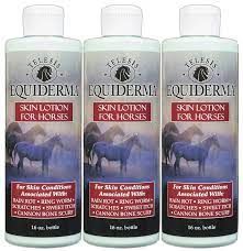 Equiderma Skin Lotion, 16oz , Each , 6/Case , Durvet TELO