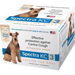 Kennel Jec-2 Vaccine for Dogs (Single Dose with Dropper), Modified Live Virus, Avirulent Live Culture, 1mL , Each , 100/Case , Durvet 004-11048