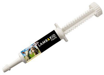 Lamb & Kid Paste 15 cc , Each , 25/Case , Durvet 001-0511