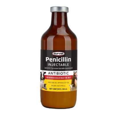 Penicillin Injectable +H1195+F1223 250 ml , Each , Durvet 001-YCO1601