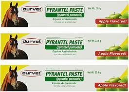 Pyrantel Equine Anthelmintic Paste, 23.6gm ,Each , 100/Case , Durvet 1PYR010