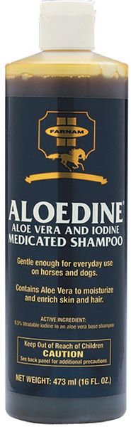 Aloedine Aloe Vera and Iodine Medicated Shampoo, 16oz ,Each , 12/Case , Farman 21112