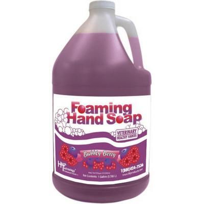 Healthy Hands Foaming Hand Soap 1 Gallon , Blueberry Scent , BB VHH/GAL