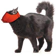 Quick Cat Muzzle, Red, Medium , Each , Furry Footed Friends C-01