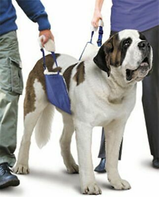 Soft Quick Lift, Blue, X-Large (91 to 160 Pounds) , Furry Footed Friends SLF-03