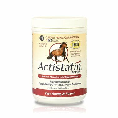 Actistatin Equine Maximum Absorption Joint Support Formula, 2.05lb , GLC Direct 83847100555