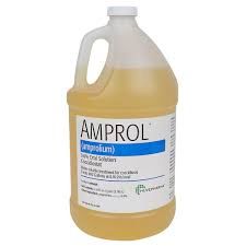 Amprol 9.6% Oral Solution, 1 Gallon , Each , Huvepharma 09568A