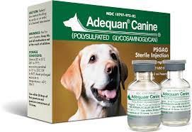 Adequan Canine (Polysulfated Glycosaminoglycan) Sterile injection, 5mL , 2/Box , Luitpold 97502