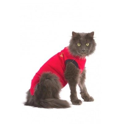 MPS - Medical Pet Shirt for Cats, Red, X-Small , MPS-XS-CAT