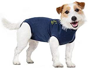 MPS - Medical Pet Shirt for Dogs, Blue, 3X-Small , MPS-XXXS