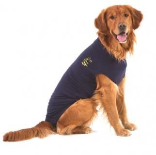 MPS - Medical Pet Shirt for Dogs, Blue, Large , MPS-LG