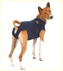 MPS - Medical Pet Shirt for Dogs, Blue, X-Small , MPS-XS