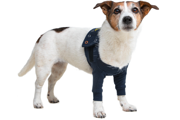 MPS - Medical Pet Shirt TAZ2 Front Leg Sleeves for Dogs, Blue, Large , MPS-TAZ2-L