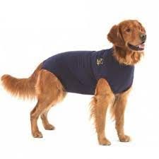 MPS - Medical Pet Shirt TOP Shirt for Dogs, Blue, Large , MPS-TOP-L