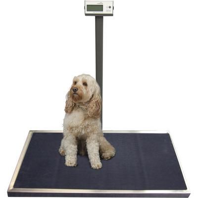 Midmark Platform Scale , Midmark 110-3110-00