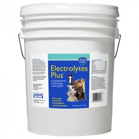 Sav-A-Caf Electrolytes Plus Concentrated Nutritional Supplement, 25lb , Each , Milk 01-7408-0595