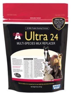 Sav-A-Calf Ultra 24 Multi-Species Milk Replacer, 4lb , Milk 01-7428-0215