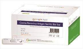 Anigen Rapid Canine Parvovirus Antigen Test Kit , 10/Box , Modern Vet 0007