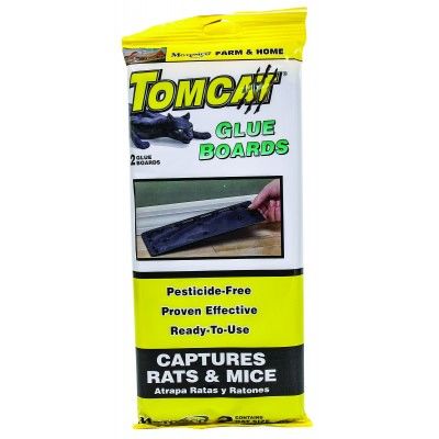 Tomcat Rat Glue Board 2/Pack , 24 Pack/Case , Motomco 32423