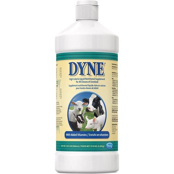 Dyne High Calorie Liquid Livestock 32 oz , Each , Pet-Ag 20513