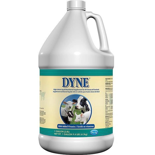 Dyne High Calorie Liquid Nutritional Supplement for All Classes of Livestock, 1 Gallon , Pet-Ag 20524