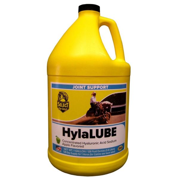 Hylalube Liquid Size 1 Gallon , Richdel 784299081