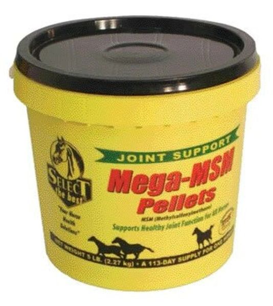 Mega-MSM Pellets, Supports Healthy Joint Function for All Horses, 5lb , Richdel 78429966050