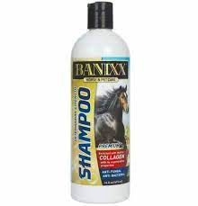 Banixx Shampoo with Collagen 16oz , Each , Sherborne 002104