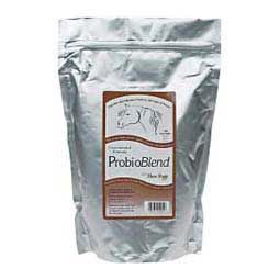 ProbioBlend Micro-Encapsulated Probiotic for Horses, Concentrated Formula, 12.7oz , Solid Ideas 8503400003