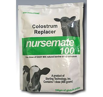 Nursemate 100 Colostrum Replacer with Immu-Prime, 400gm , Each , 12/Case , Sterling Technology 1914