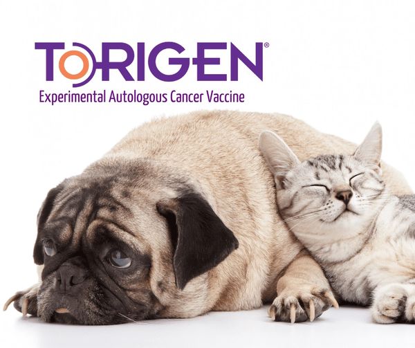 Torigen Over-Sized Tumor Collection Kit , Torigen 9958