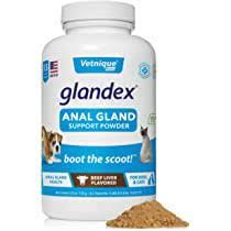 Glandex Anal Gland Support Powder for Dogs and Cats, Beef Flavor, 4oz , Each , 36/Case , Vetnique Labs GXP40-44975