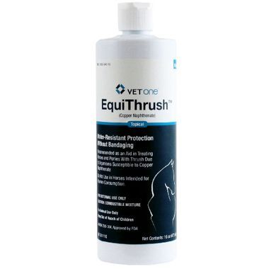 EquiThrush, 16oz , Each , 12/Case , Vetone TP281MW