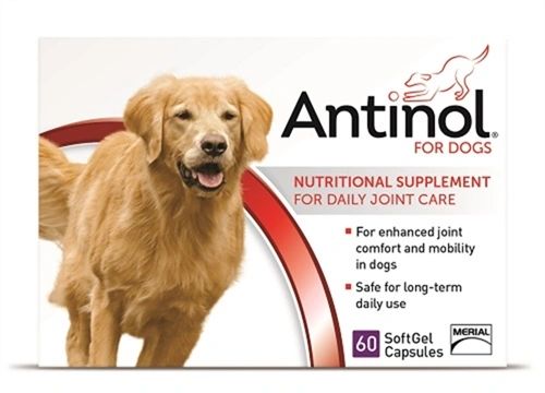 Antinol for Dogs, Nutritional Supplement for Daily Joint Care, 60 SoftGel Capsules , Vetz Petz 74131