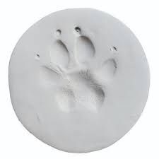 ClayPaws Paw Print Kit, White , Each , World By the Tail 794708