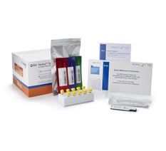 Respiratory Test Kit BD Veritor System SARS-CoV-2 / Influenza A + B 150 Tests CLIA Waived BD 256097