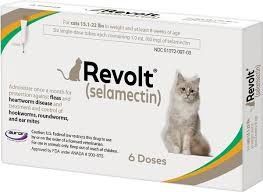 Revolt for Cats 15.1 to 22 Pounds, Taupe Label (6 Dose) , Aurora Pharm 17007